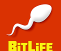 Bitlife - Life Simulator Game